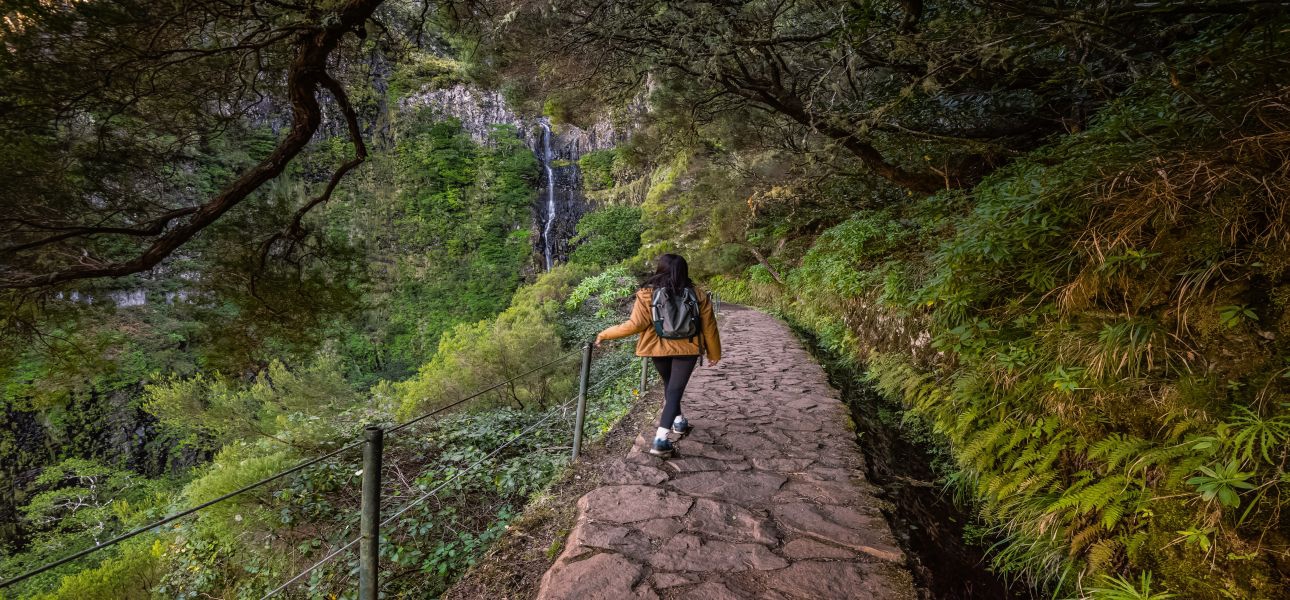 Levadas – Die Lebensadern Madeiras    